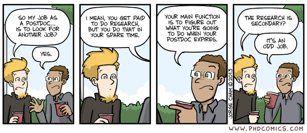 Dissertation versus thesis