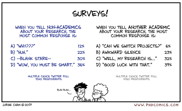 Funny on Sunday: surveys on scientific work – From experience to meaning…
