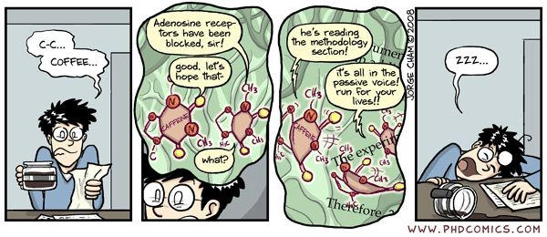 PhD3